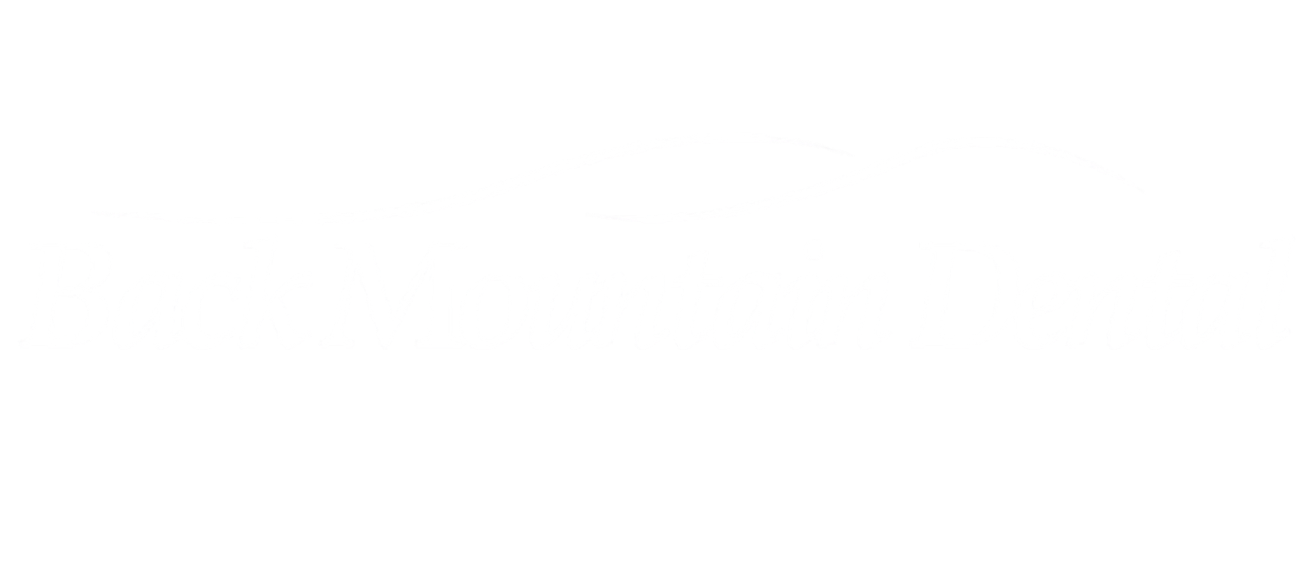 Back Mountain Dental Logo